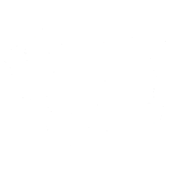 VandalVibes